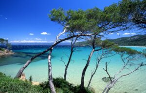 nouvel-an-presqu-ile-de-giens-et-les-iles-d-or