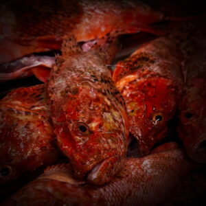 BD88C50F-18B1-45A8-83B2-664ABA250545