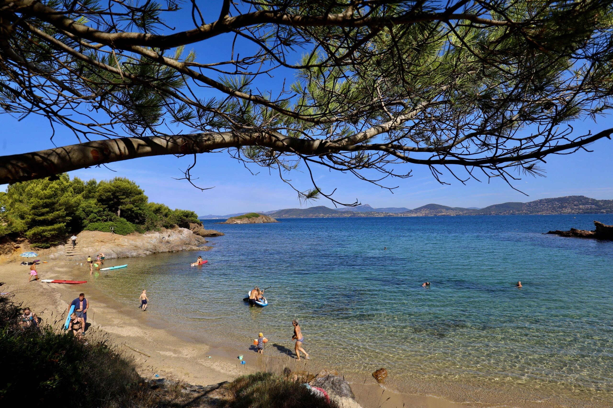 DATA_ART_16105560-pyO4lOWn