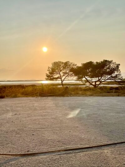 class="img-responsive